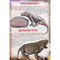 Дитячі книги - Книжка «Динозаври та інші давні тварини», Олег Завязкін (9786177277957)#2